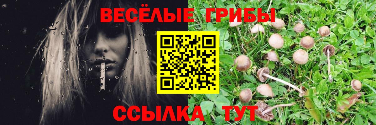Челябинск  Псилоцибиновые грибы мухоморы  Вход с VPN 