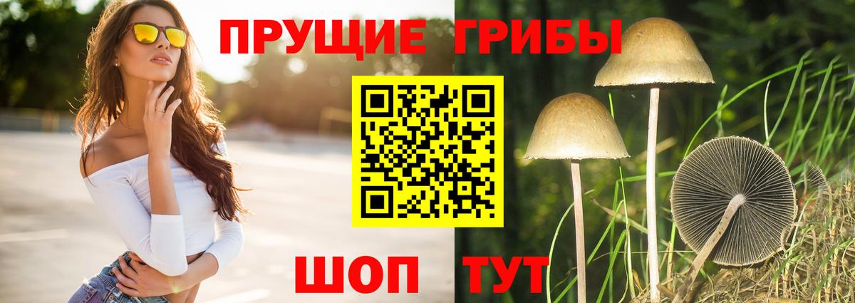 Галлюциногенные грибы Magic Shrooms Челябинск